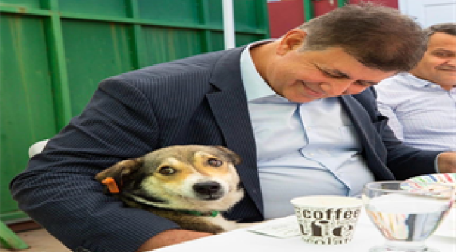 Başkan Tugay'dan sokaktaki canlar için önemli adım