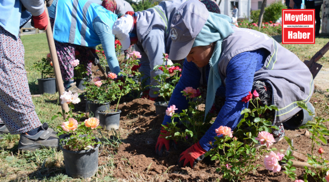 PAMUKKALE BELEDİYESİ, İLÇEDE BAHAR BAKIMI YAPIYOR