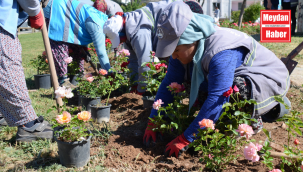 PAMUKKALE BELEDİYESİ, İLÇEDE BAHAR BAKIMI YAPIYOR