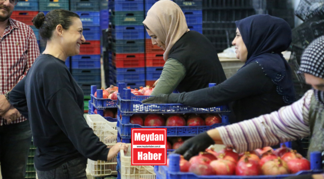 TARIM EKONOMİSİNİN BEL KEMİĞİ DEPPO EFES SEZONA HAZIR