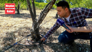 Tarımsal Üretimde Su Tasarrufu
