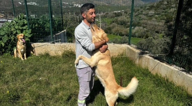 3 Bin 738 Sokak Hayvanına Müdahale