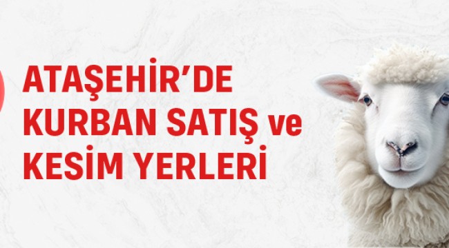 ATAŞEHİR'DE 5 NOKTA KURBAN SATIŞ VE KESİM ALANI OLARAK BELİRLENDİ