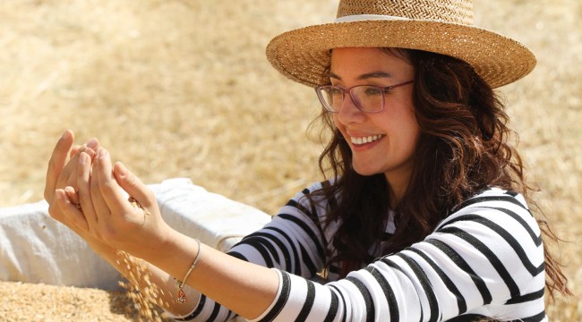 BAŞKAN KÖKSAL, "KAYBOLMAYA YÜZ TUTMUŞ KARAKILÇIK BUĞDAYIMIZIN ÜRETİMİNİ YENİDEN ARTIRACAĞIZ"