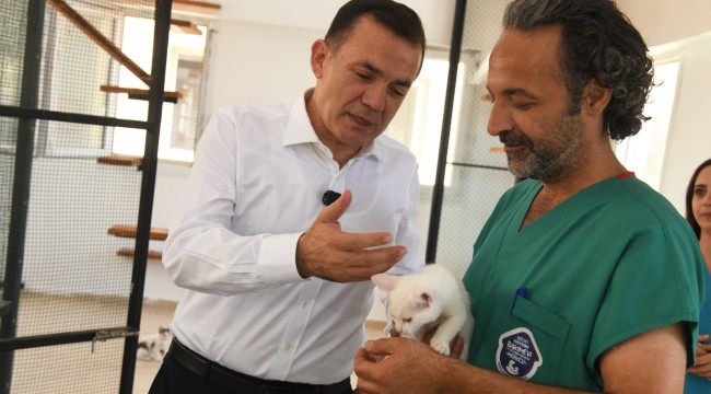 Başkan Özyiğit, "Bakımevimizde sokak hayvanlarını sahiplendirmeye başladık"