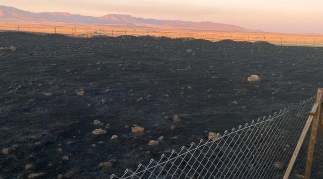 Mardin'de 9 ayrı noktada yangın