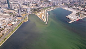 Renk değişimine plankton patlamaları neden oldu