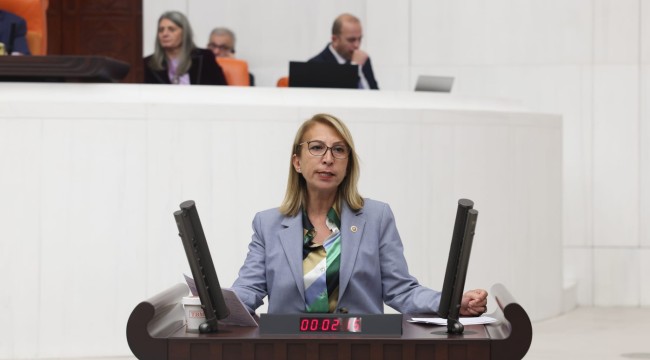 CHP'Lİ ÖNEŞ DERİCİ'DEN BAKAN YERLİKAYA'YA GÖÇ SORUSU