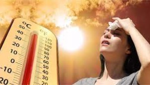 Dünya son 30 yılın en sıcak günlerini yaşadı