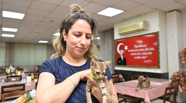 Tedavisi tamamlanan yavru kedi Biber sahibiyle buluştu
