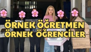 Kahramanmaraş'ta Yüreklere Dokunan Proje: Minik Eller 500 Kedi Evi Üretti